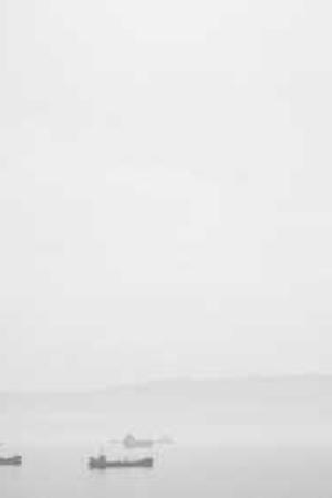 Cover of Vingt mille lieues sous les mers