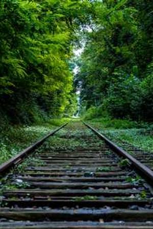 Cover of Alice's Adventures in Wonderland