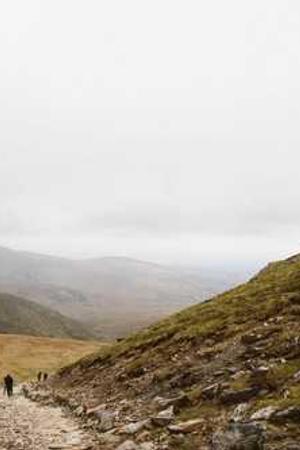 Cover of Imperializm, kak vysshai͡a︡ stadii͡a︡ kapitalizma