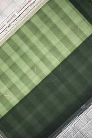 Cover of Much Ado About Nothing