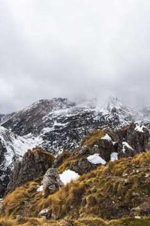 Cover of Tender is the Night