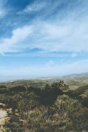 Cover of The Murder of Roger Ackroyd