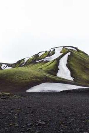 Cover of Popular Science Woodworking Projects 198